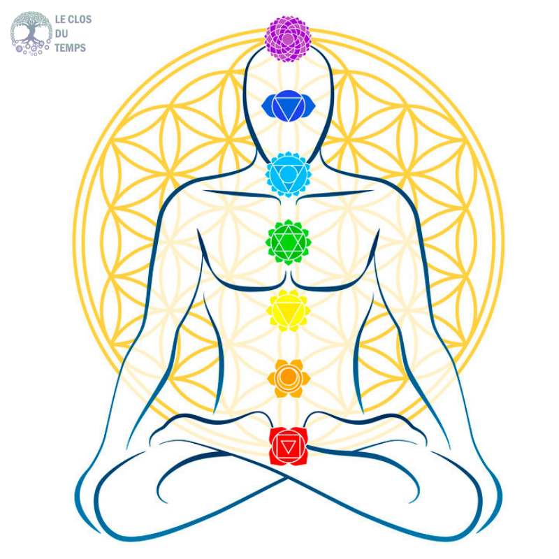 formation méditation et yoga pranayama